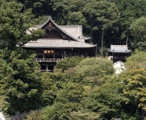 豊山派　総本山　長谷寺　ソメイヨシノ発祥の地　西福寺