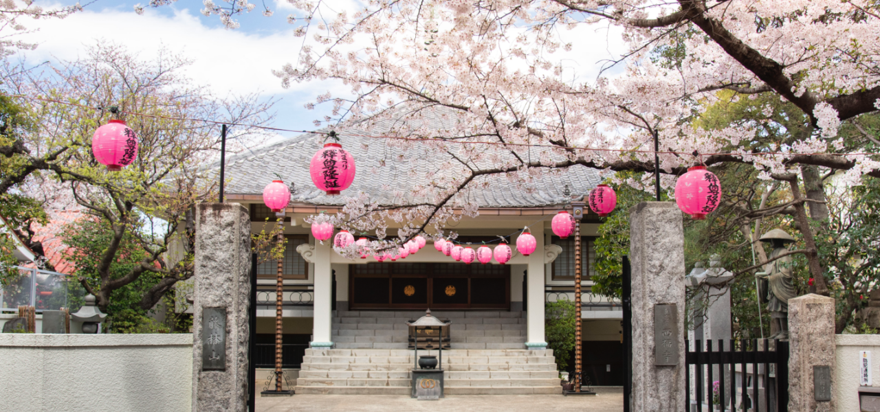 ソメイヨシノ発祥の地　西福寺