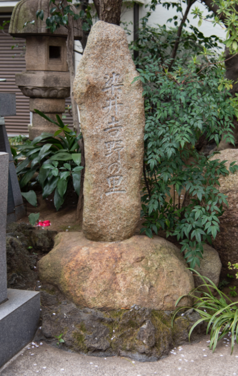 ソメイヨシノ発祥の地　西福寺
